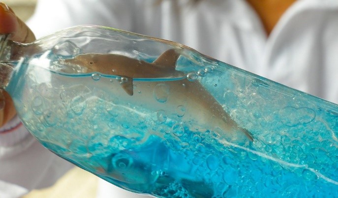 Botellas sensoriales