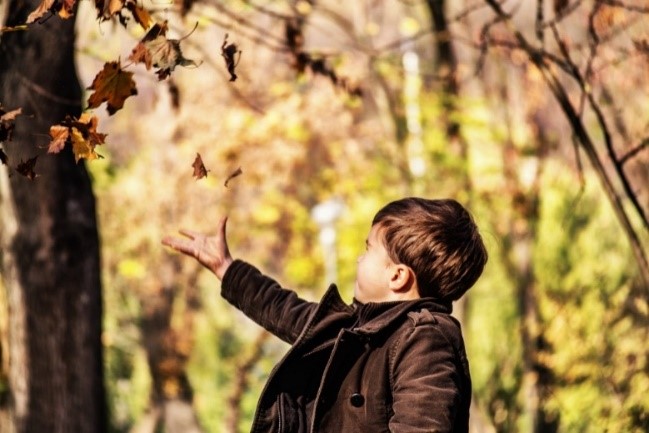 Un niño toca una rama de un árbol en plena naturaleza