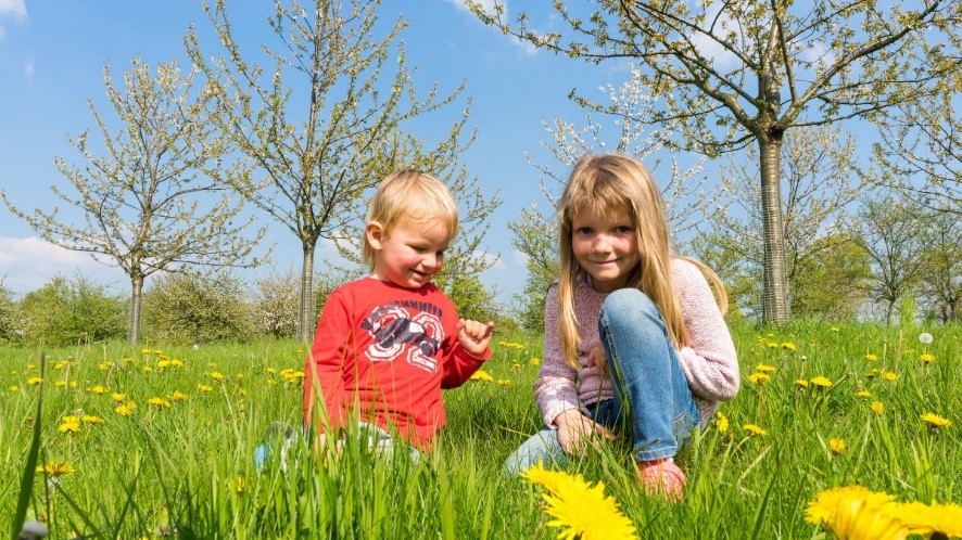 Dos niños, en pleno campo