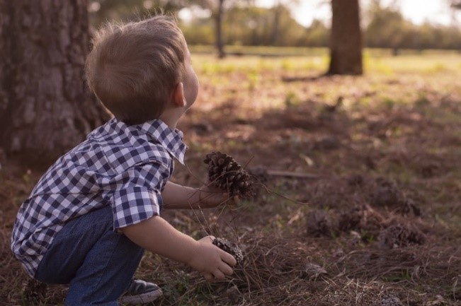 Un niño recoge frutos de un árbol