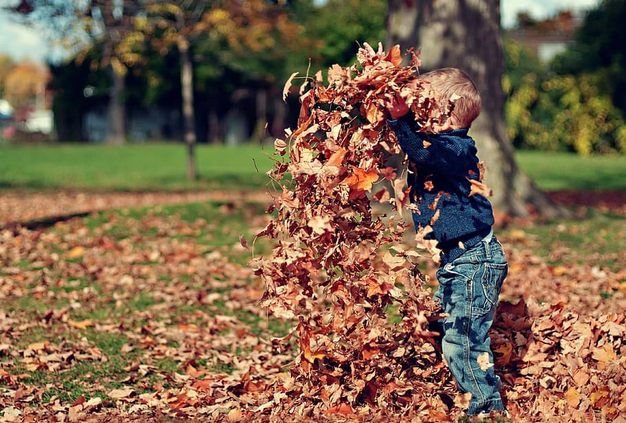 Un niño juega con hojas