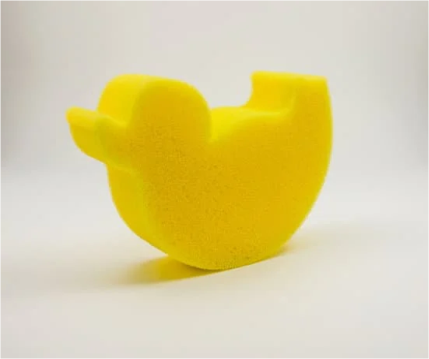 Descubrimos nuestro cuerpo