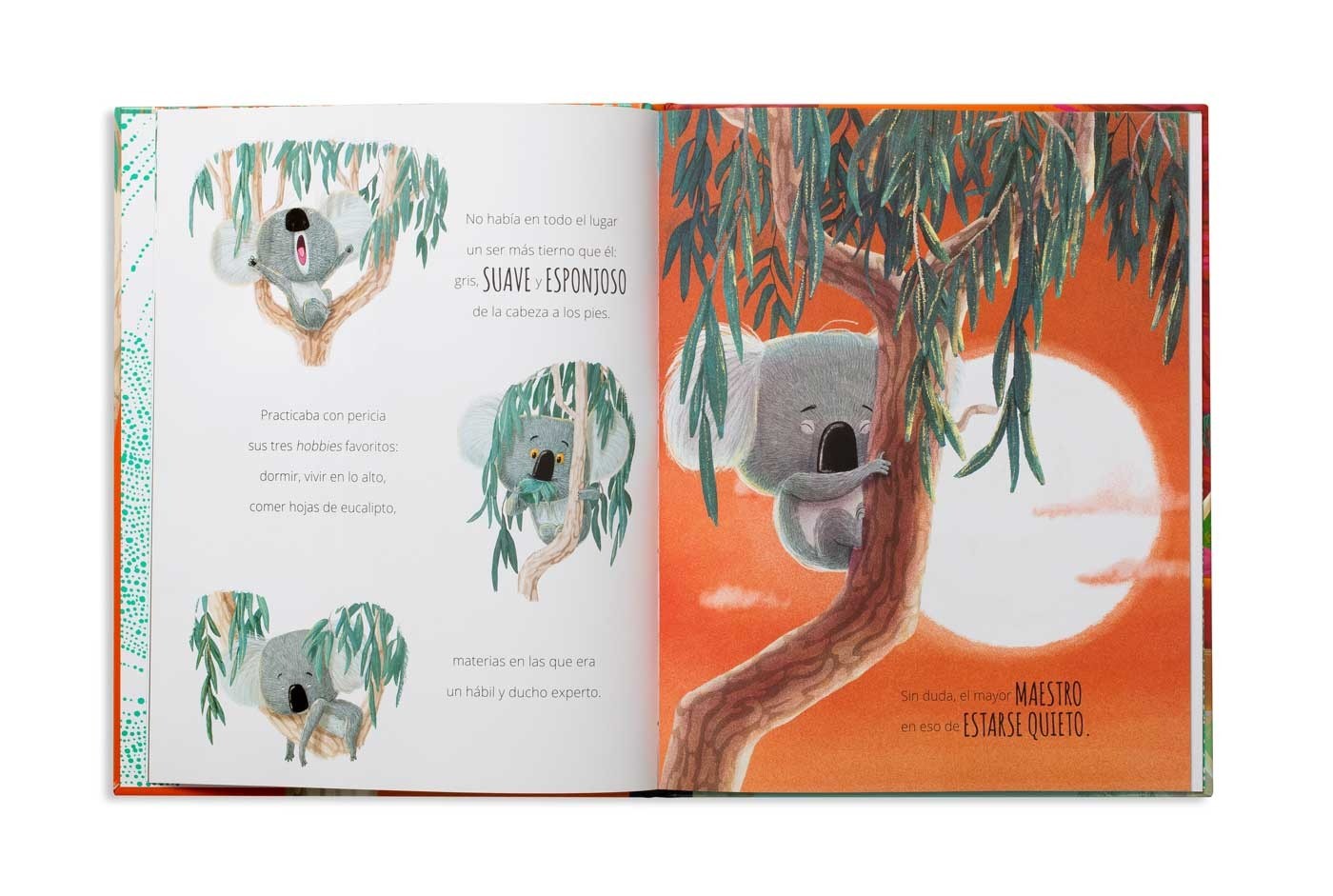 el koala que pudo ser