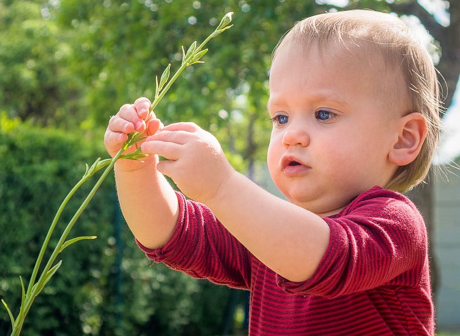 Un niño manipula una flor en el campo