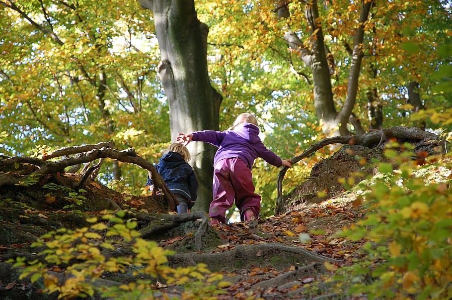 Dos niños caminan por un bosque