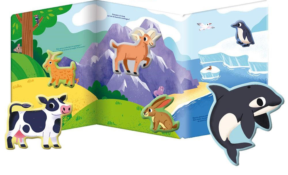 Mi aventura imantada