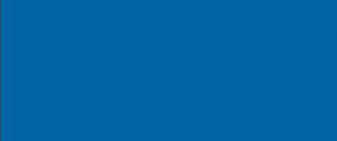 Las necesidades de las familias de personas con discapacidad, a examen