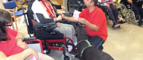 Actividades asistidas con animales en Rey Fernando