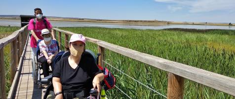 Dos usuarias en silla de ruedas junto a un voluntario con una camiseta rosa de Dfa posan en una pasarela de una laguna