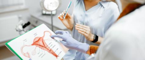 Una ginecóloga analiza una imagen