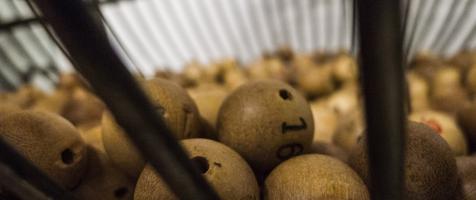 La imagen muestra el interior de un bombo con las bolas numeradas para el sorteo de lotería