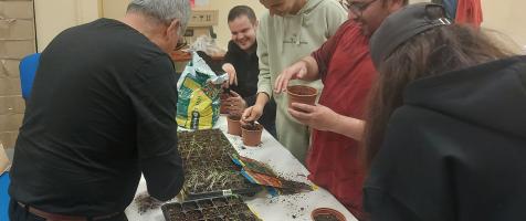 Una sesión con plantas