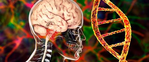 Ilustración de cerebro y genoma