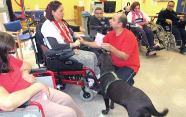 Actividades asistidas con animales en Rey Fernando